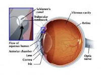 Cara Mencegah Penyakit Mata