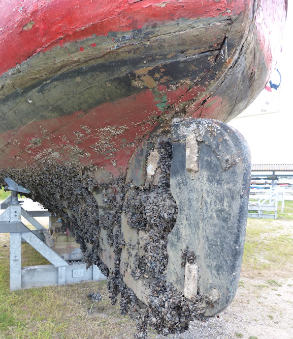 N0by Es Ist Etwas Gesund Im Staate Danemark