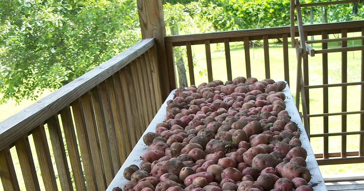 A Working Pantry Canning Potatoes