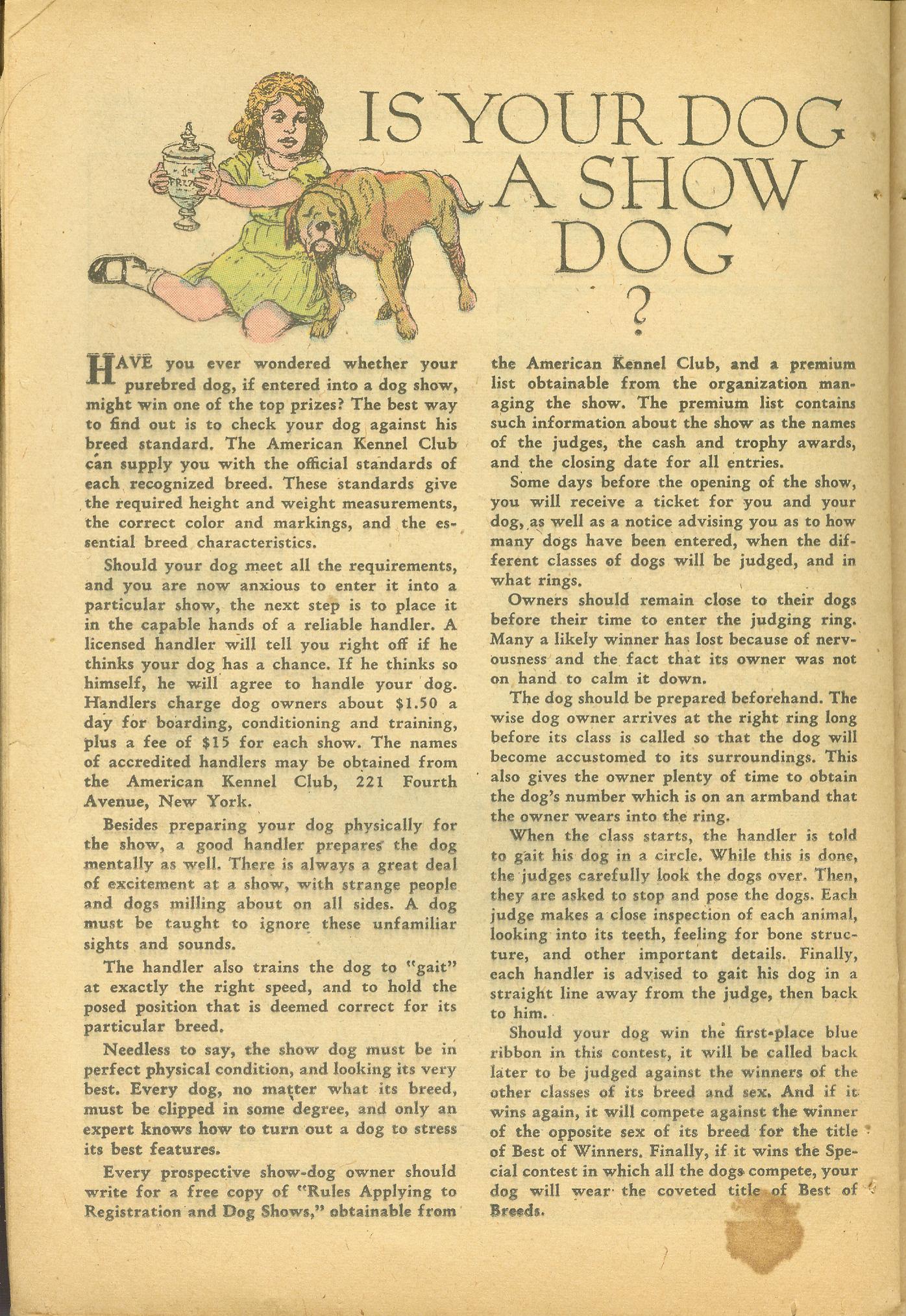 Read online The Adventures of Rex the Wonder Dog comic -  Issue #37 - 24