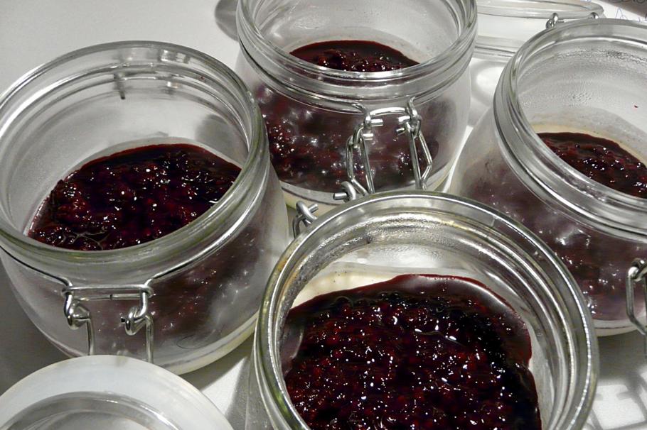 Kulinarische Welten zu Fisch- und Meeresfrucht: Panna Cotta mit ...