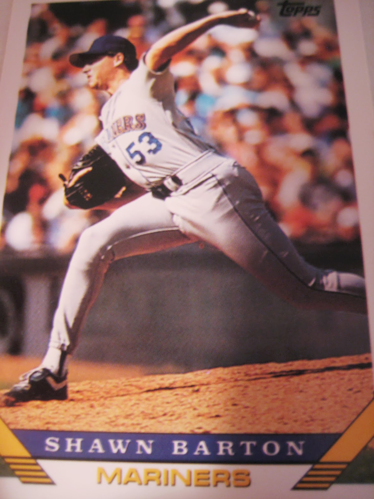 Baseball Cards Come to Life! Player Profile Shawn Barton