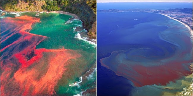 Fenomena Alam Yang Menarik ~ Attractive Inspiration Digital Library and