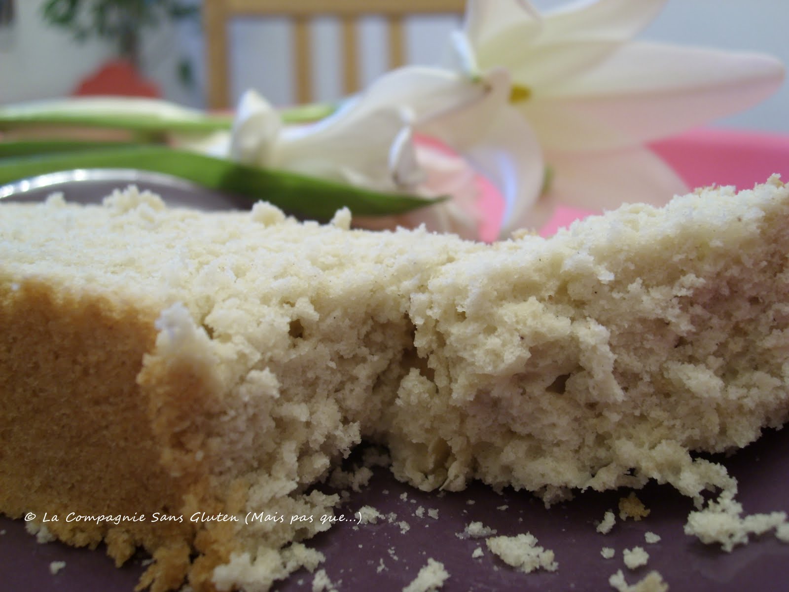 Gâteau Oui Oui dans sa voiture vegan, sans gluten