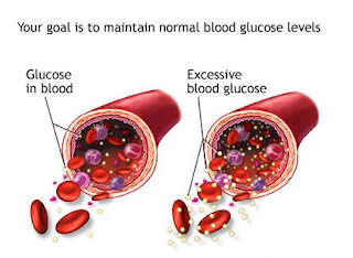 gula darah normal