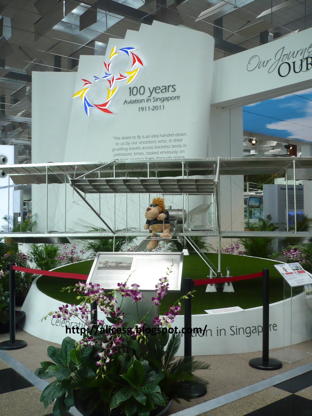 AlicesgSingaporemyhome My World Tuesday Butterfly Garden at Terminal 3 Changi Airport Singapore AlicesgSingaporemyhome My World Tuesday Butterfly Garden at Terminal 3 Changi Airport Singapore