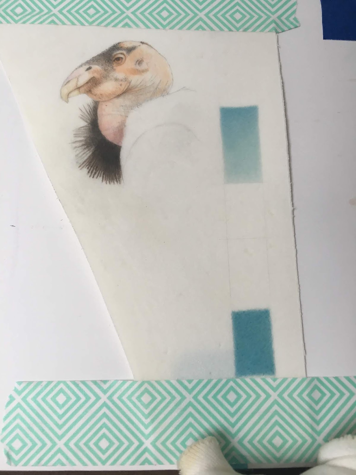 Karen Ackoff Studio Watercolor on Calfskin Vellum