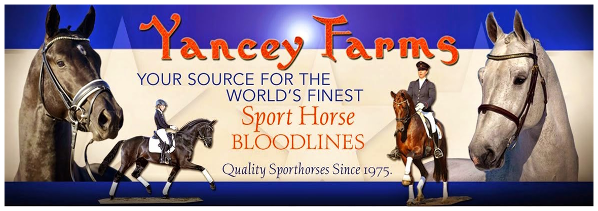 Sales Page for Foals from Yancey Farms Frozen Semen Program