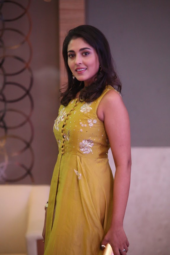 Madhu Shalini at Goodachari Pre Release Function