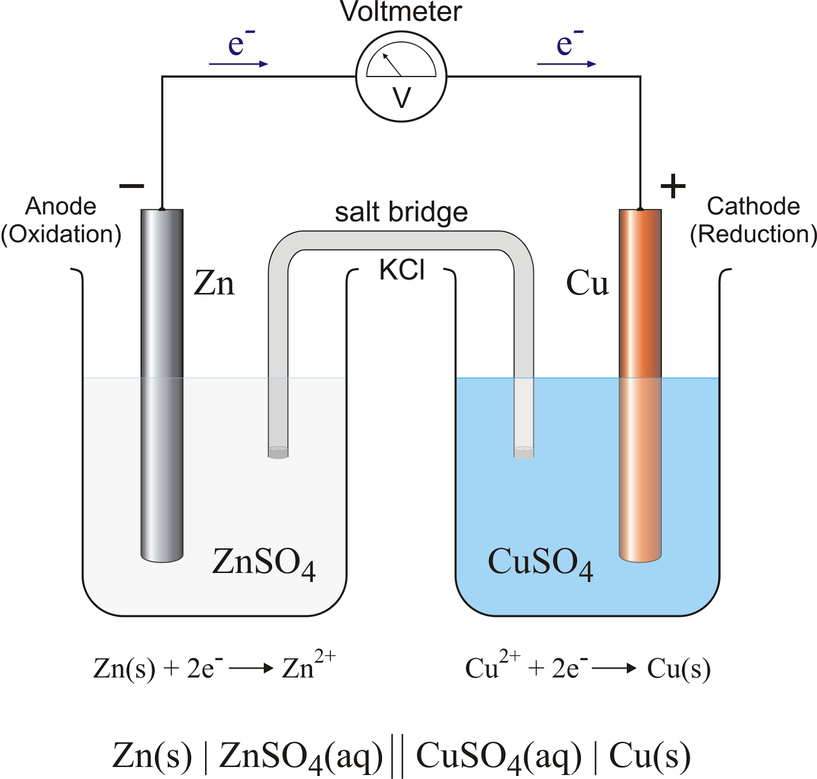 ELifes เซลล์กัลวานิก (Galvanic cell)