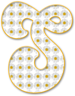 Abecedario con Margaritas Blancas y Orilla Amarilla. Alphabet with White Daisies and Yellow Shore.