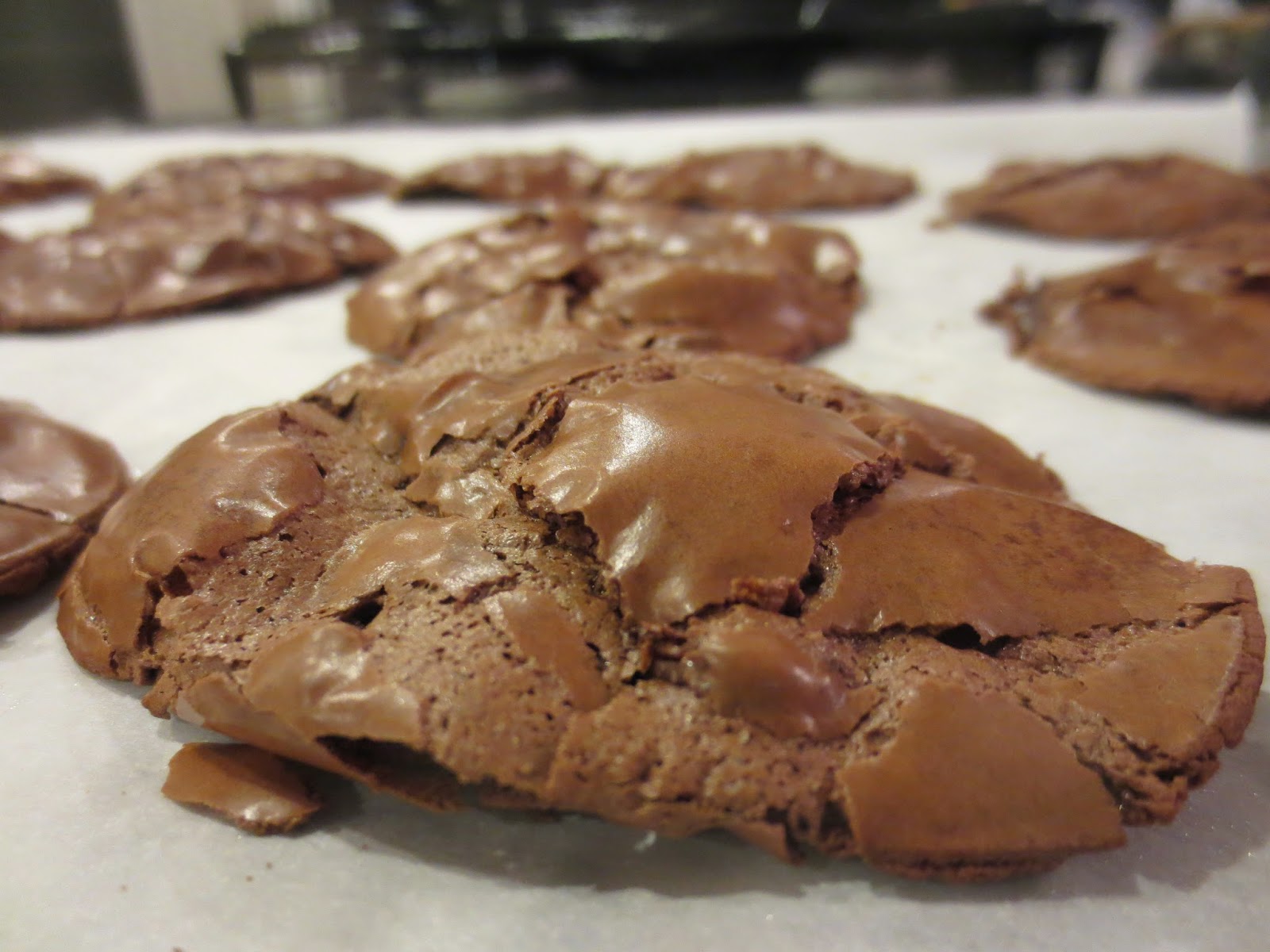 Brisket and Beyond Double Chocolate Cookies for Passover