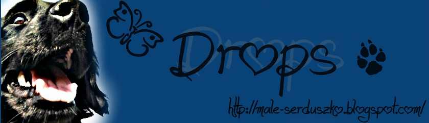 Dropsik.♥