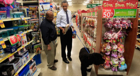 Khoanh khac doi thuong cua Tong thong My Obama - Anh 9