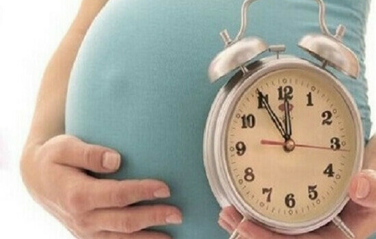 موعد الولادة  موعد الولادة