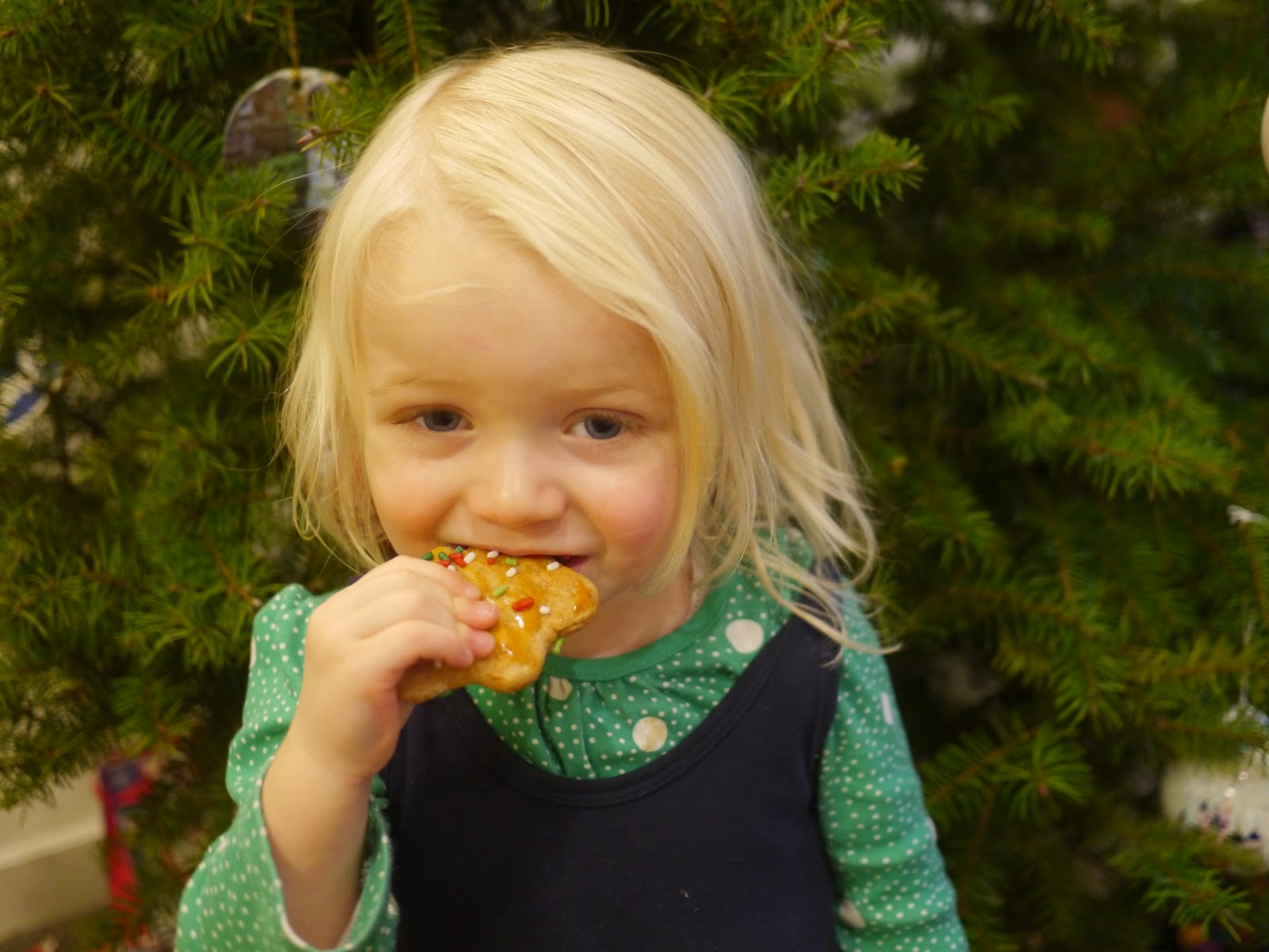 Little Hiccups Christmas Tradition Honey Biscuits