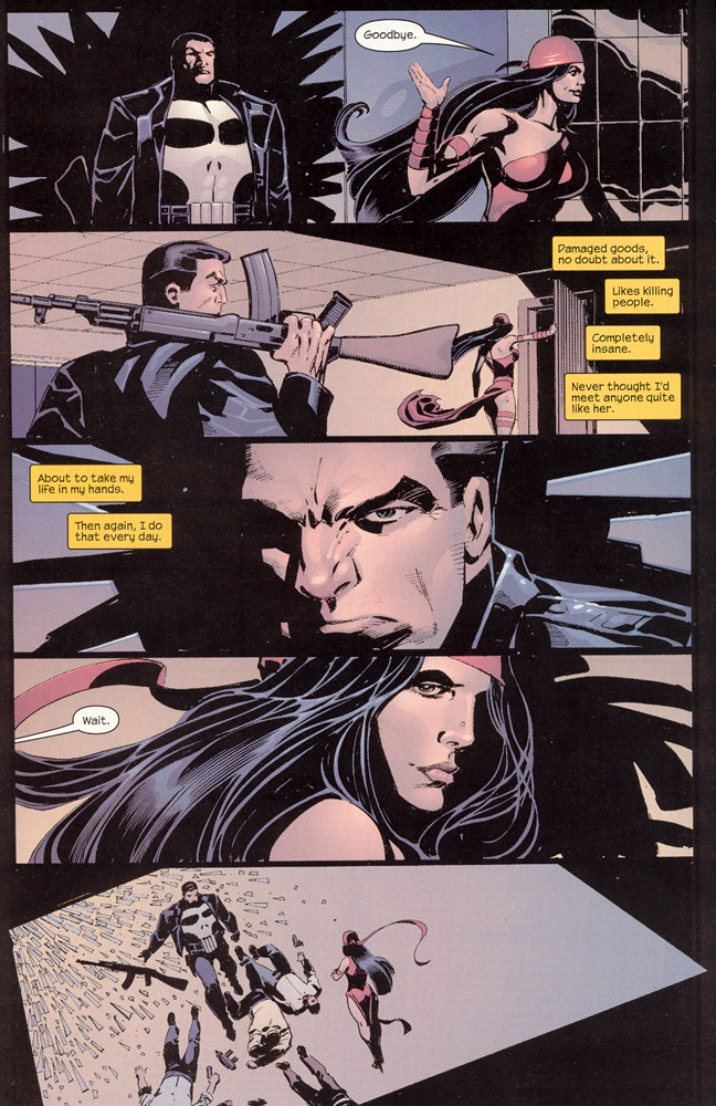 Read online The Punisher (2001) comic -  Issue #27 - Elektra - 22