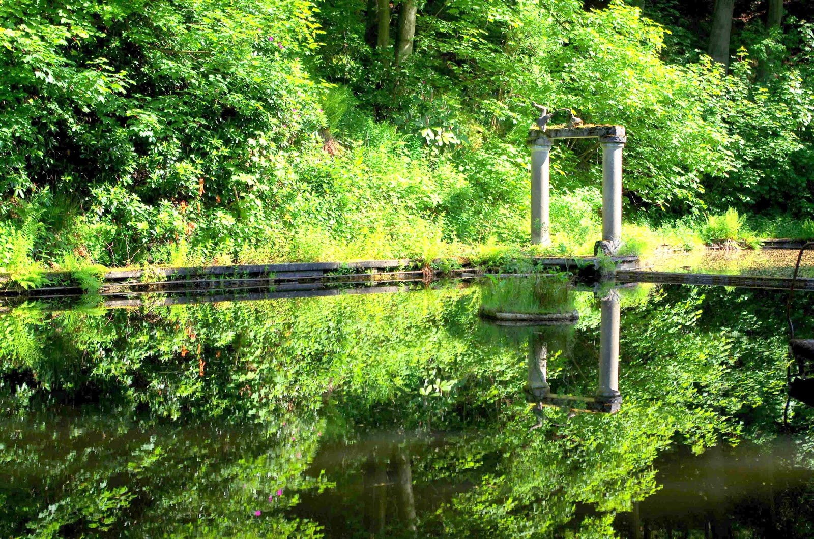 Out & About Hayfield and the Secret Swimming Pool.