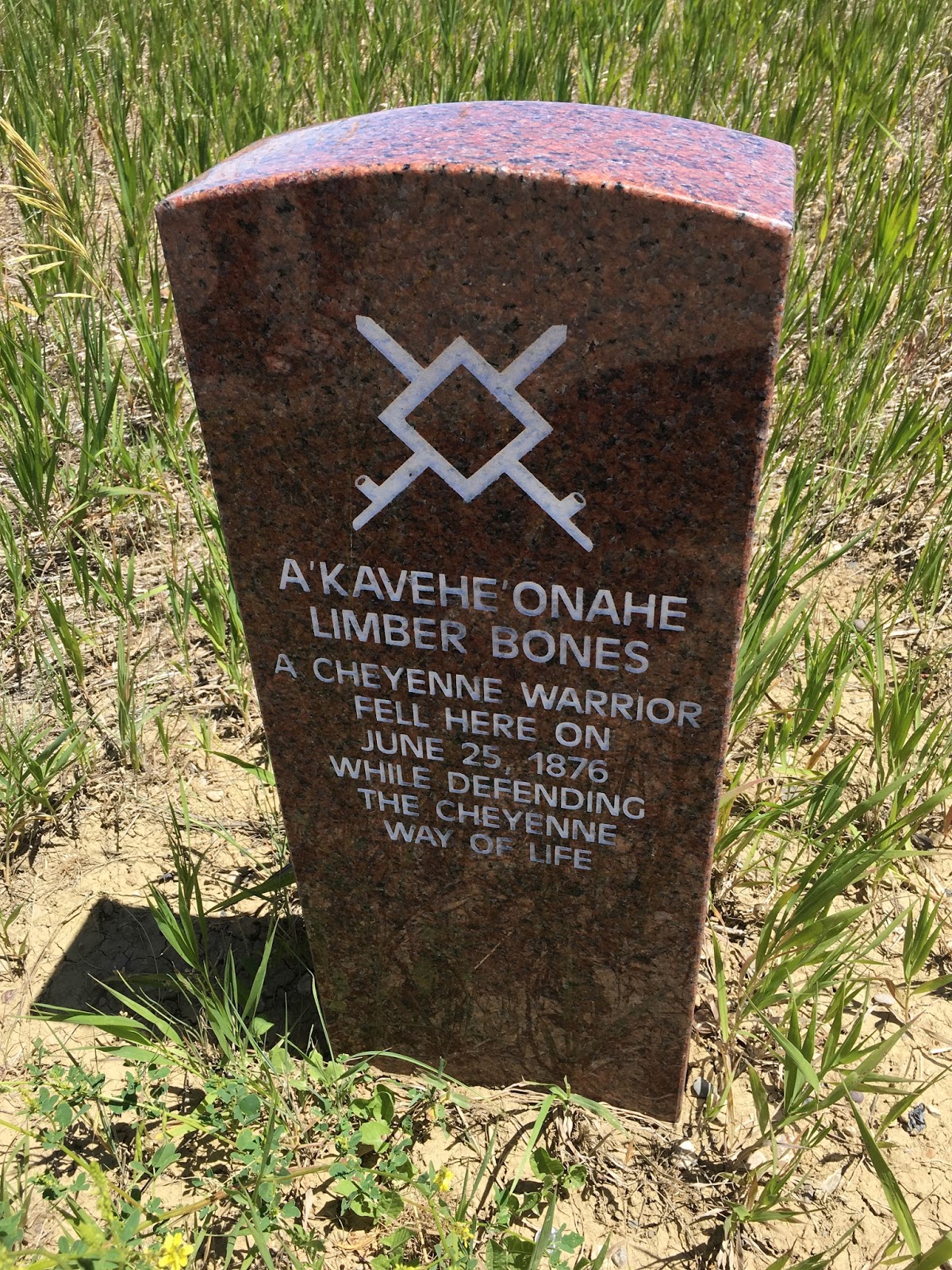 little bighorn battlefield on The Lakota Last Stand Little Bighorn Battlefield National Monument The Wandering Soldier