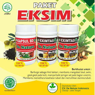 obat alami penyakit eksim