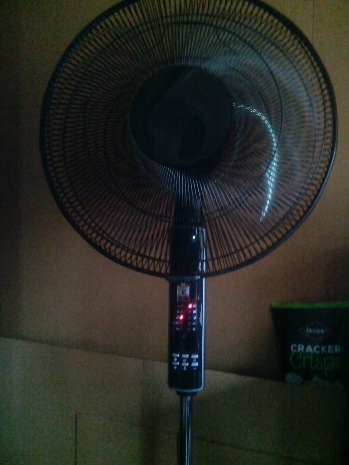 The Blogging Comper savvy69er© Challenge Black Oscillating Pedestal