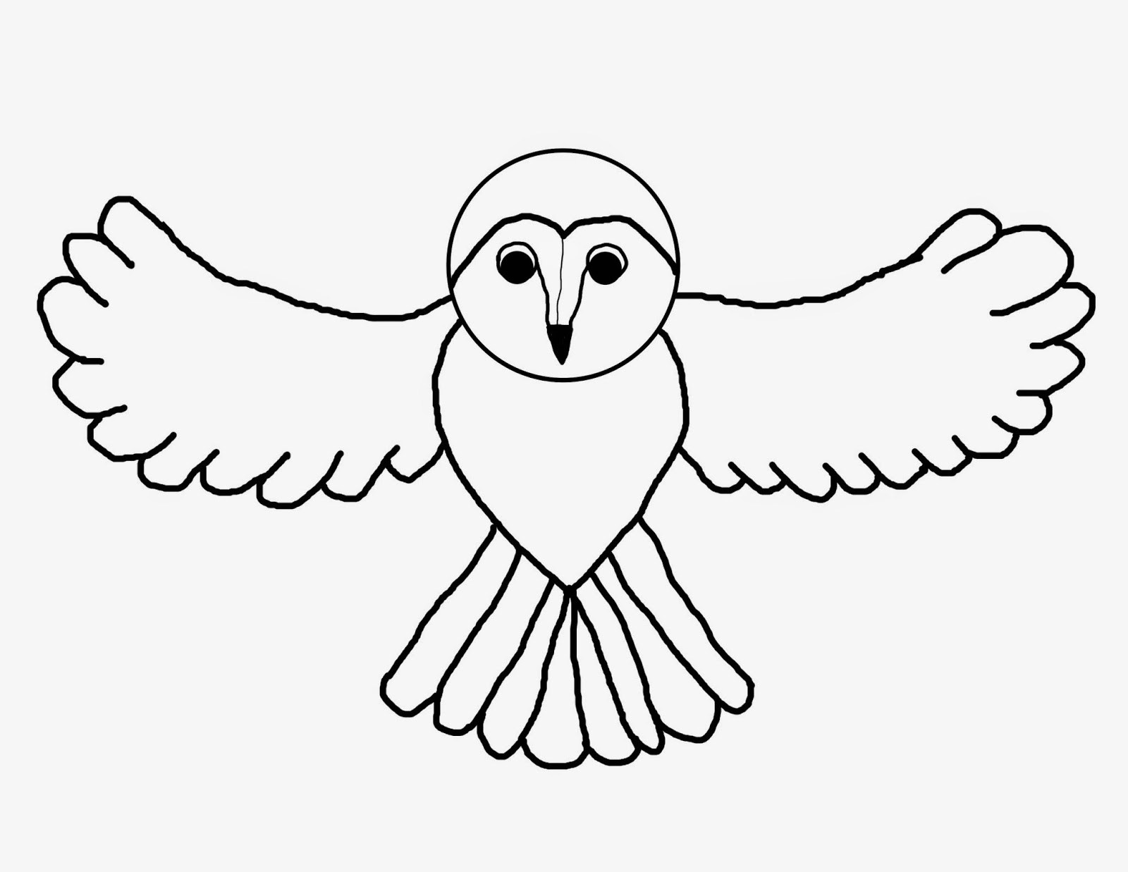 drawing-snowy-owls-savvy-teaching-tips