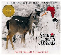 Book Cover: Stranger in the Woods