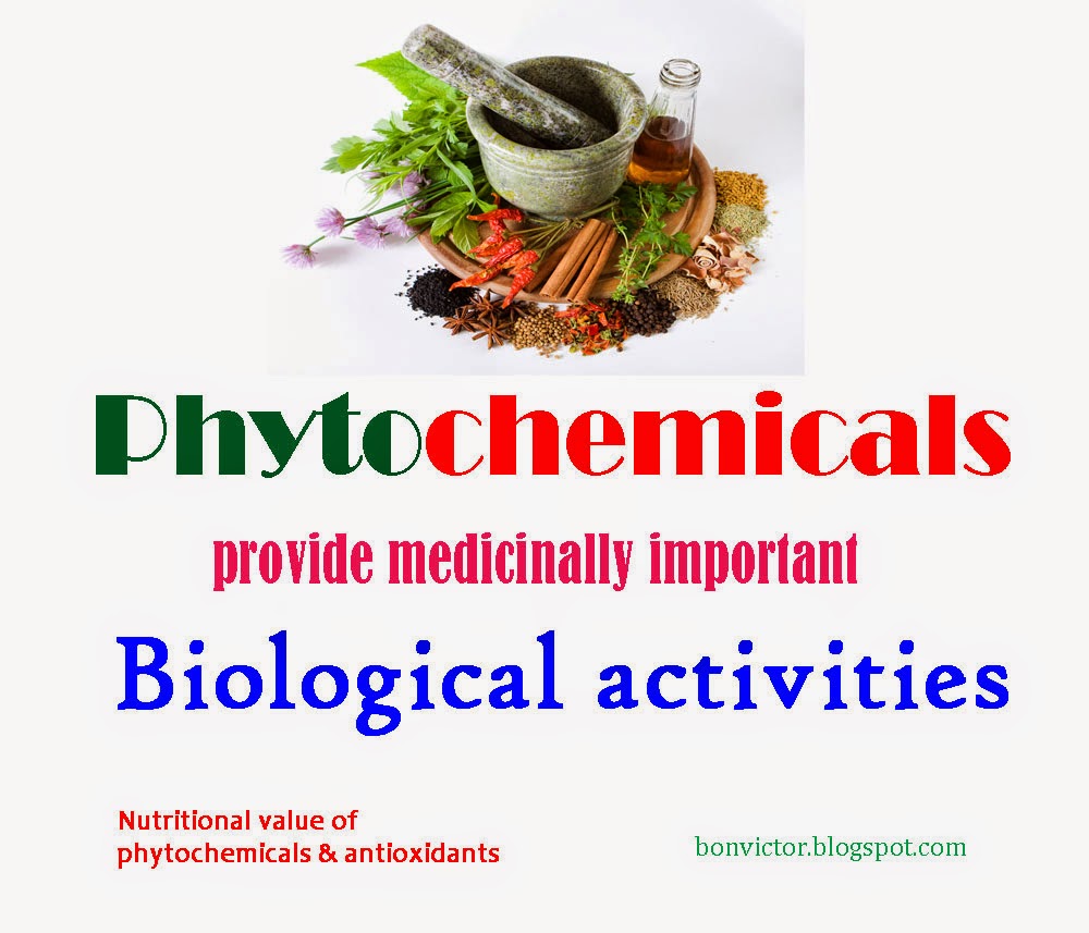 bonvictor.blogspot.com Nutritional value of phytochemicals and