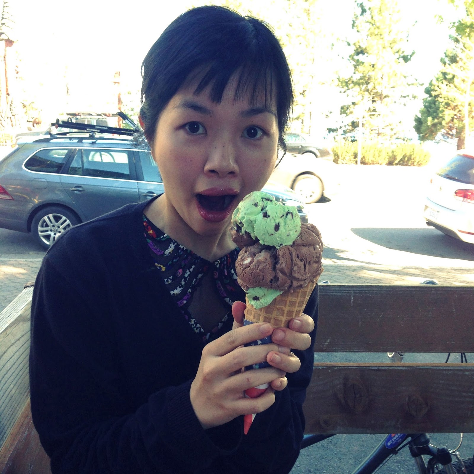 Some Like it Haute Day 5 Tahoe City / Poppy's Waffle Shop and Frozen