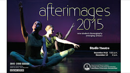 Afterimages 2015