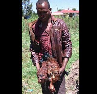 gtgt Photo: 33-year-old man 'rapes' his neighbor's two hens to death in Kenya