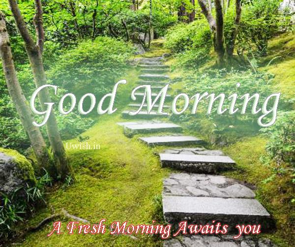 Good Morning - A fresh morning awaits you