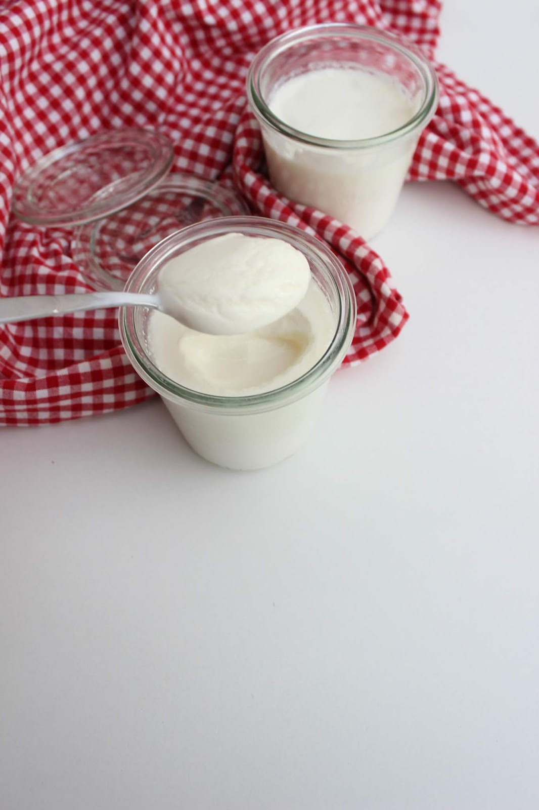 Joghurt selber machen (Hausgemachter Joghurt) - Yogurt Mayalama (Ohne ...