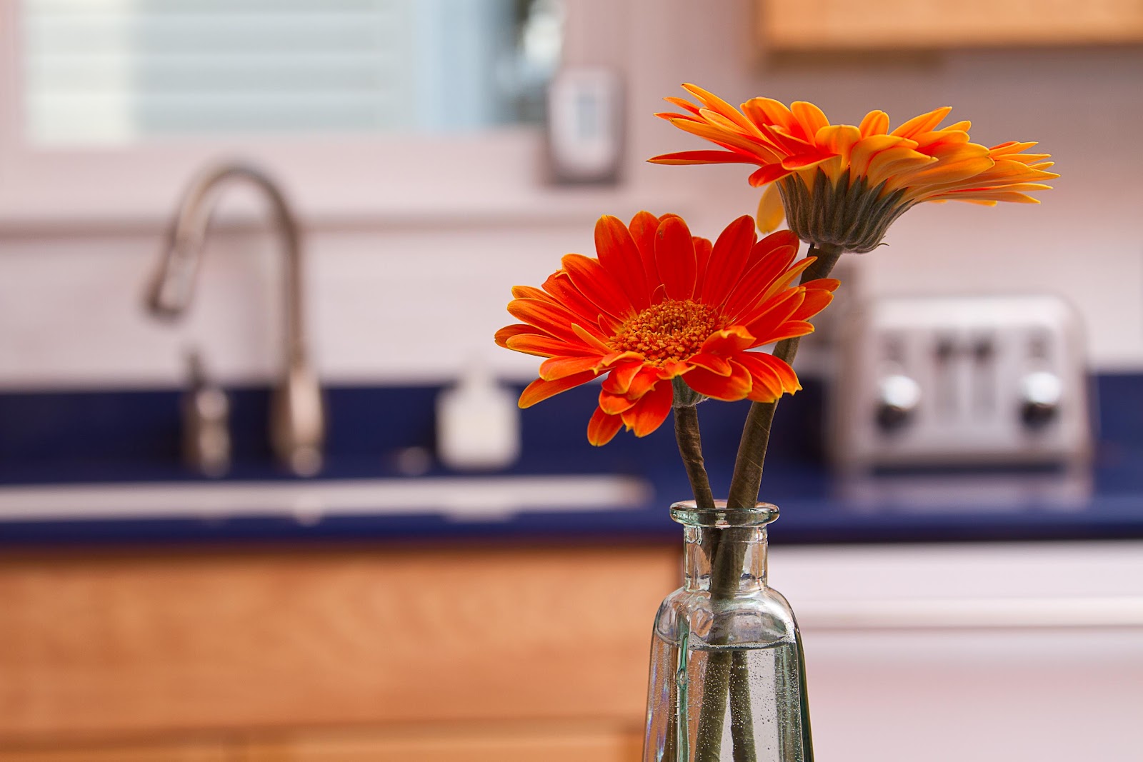 Flowers+in+kitchen