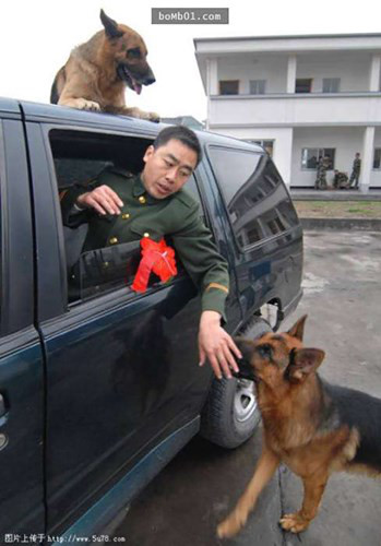 Trai tim tan chay voi anh xuc dong ve 