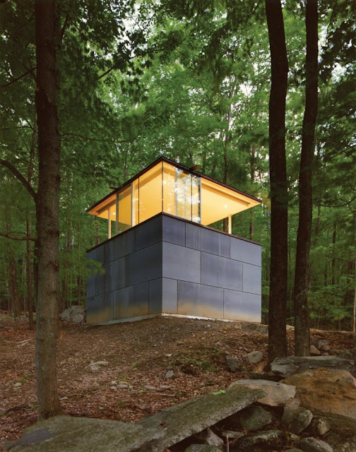 Private study library in the woods