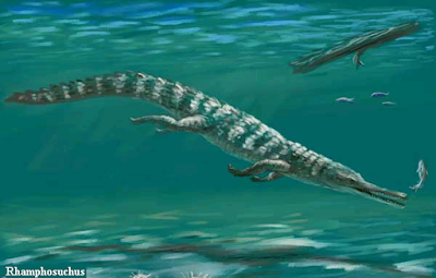 Rhamphosuchus