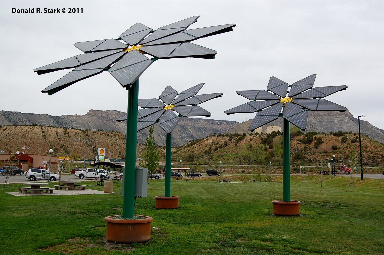 Kelly the Little Black Dog Solar Sun Flowers