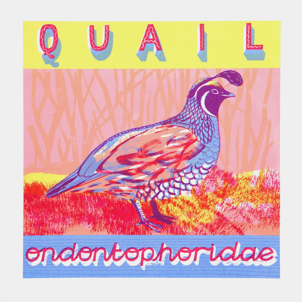 Alice Pattullo Q Is For Quail alice-pattullo-q-is-for-quail