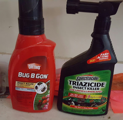 Garden Musings From Memphis Area Master Gardeners Update On Armyworms
