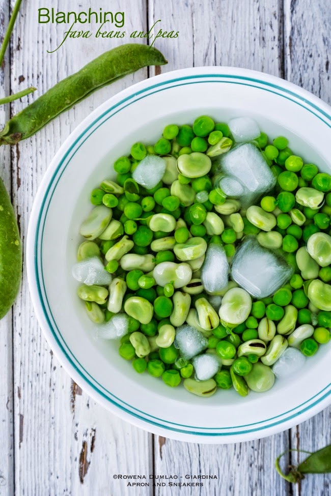 Peas, Fava Beans & Herb Flowers with Lemon Ricotta Cream
