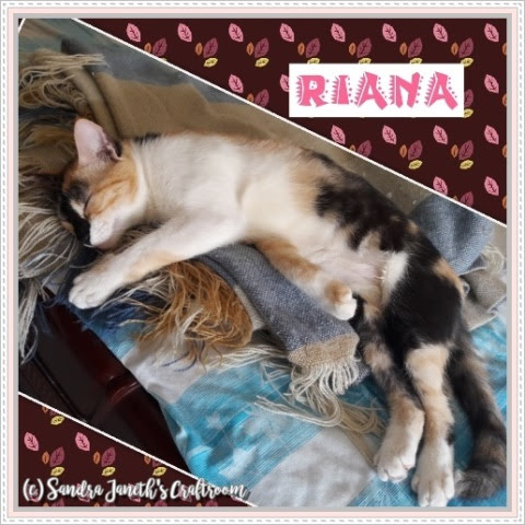 Gatos, Riana