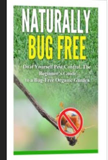 How to get rid of garden pests naturally? | Best Organic ...