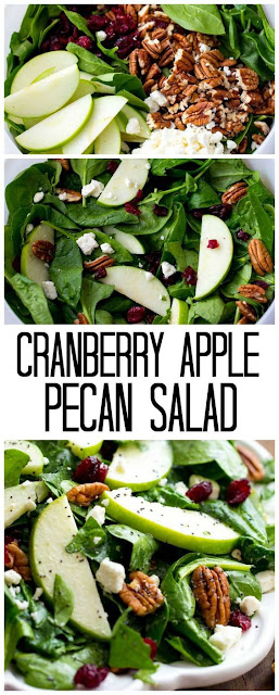 CRANBERRY APPLE PECAN SALAD WITH CREAMY POPPYSEED DRESSING CRANBERRY APPLE PECAN SALAD WITH CREAMY POPPYSEED DRESSING