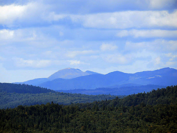 Zbliżenie na polskie Bieszczady.
