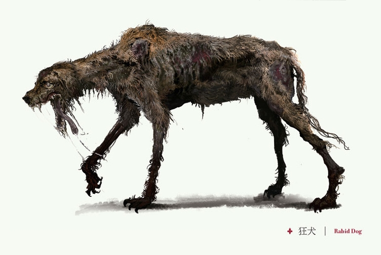 Rabid Dog | Bloodborne Wiki