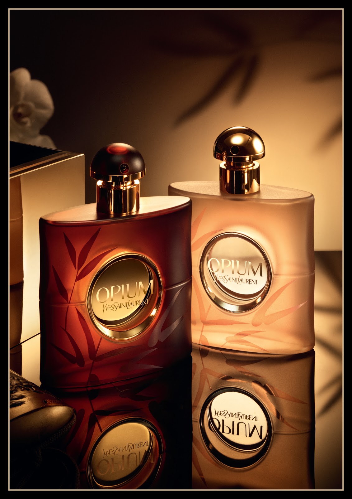 ANIA BASAK FASHION & BEAUTY EXPERT IMAGE CONSULTANT PERSONAL