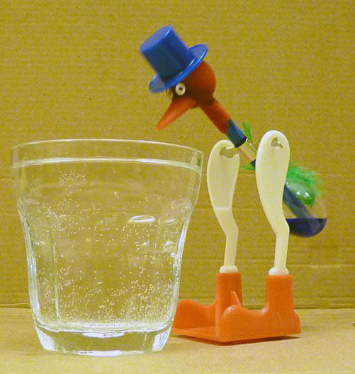 Bird In Everything Water Drinking Bird Toy