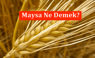 Maysa İsminin Anlamı Nedir