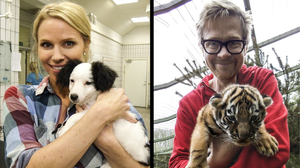 Karins: TV: Djursjukhuset